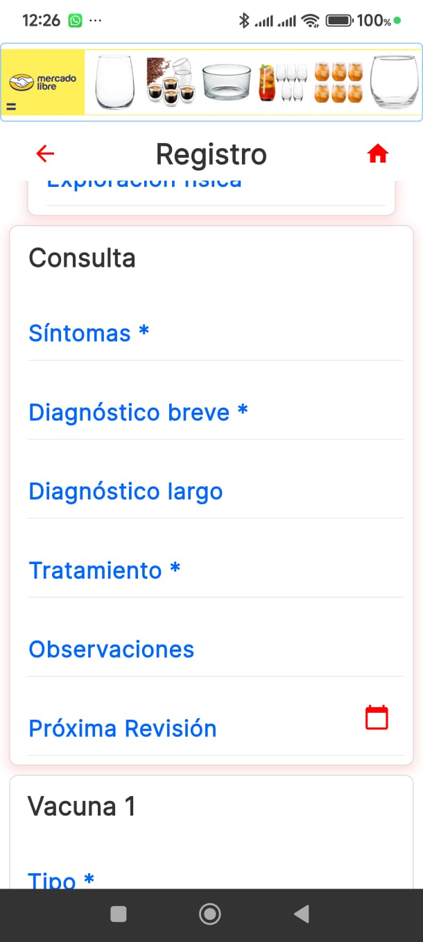 Detalle de una consulta