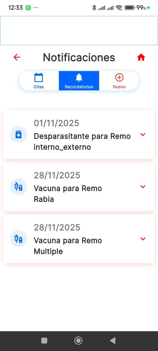 Pantalla de Recordatorios